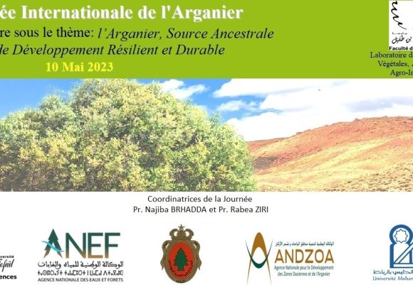 Célébration de la Journée Internationale de l’Arganier