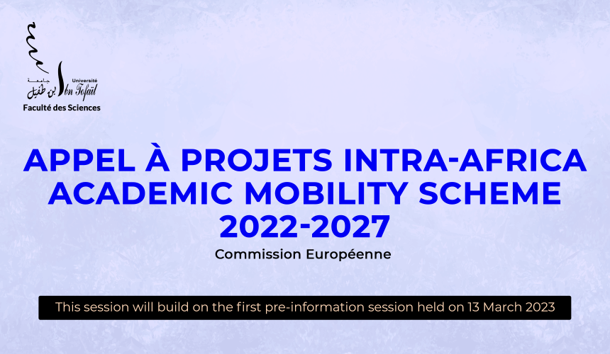 Appel à Projets Intra-Africa Academic Mobility Scheme 2022-2027