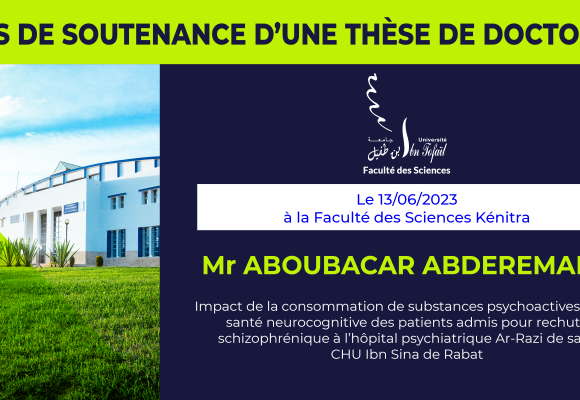 Avis de soutenance d’une thèse de doctorat (Mr ABOUBACAR ABDEREMANE)