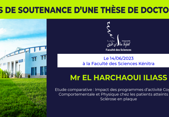 Avis de soutenance d’une thèse de doctorat (Mr EL HARCHAOUI ILIASS)