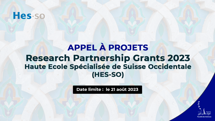 Appel à projets Research Partnership Grants 2023