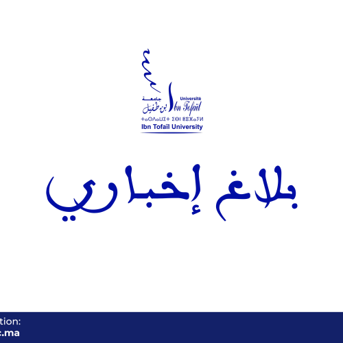 بلاغ إخباري