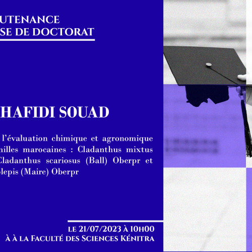 Avis de soutenance d’une thèse de doctorat (Mme EL HAFIDI SOUAD)