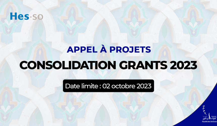 Appel à projets – Consolidation Grants 2023