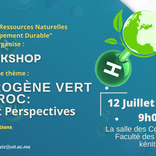L’HYDROGÈNE VERT AU MAROC : Enjeux et Perspectives – Workshop