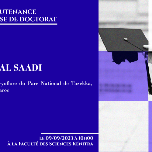 Avis de soutenance d’une thèse de doctorat (Mr SAIDI KAMAL)