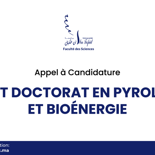 Appel à Candidature – Post Doctorat en Pyrolyse et Bioénergie