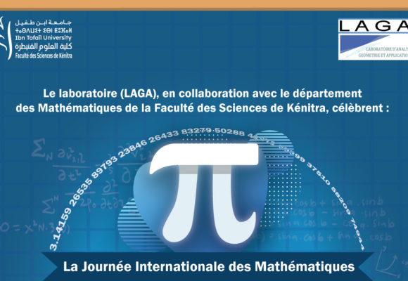 Journée Internationale des Mathématiques