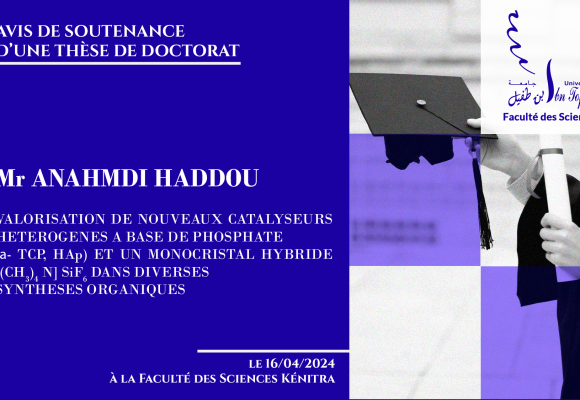 Avis de soutenance d’une thèse de doctorat (Mr ANAHMADI HADDOU)