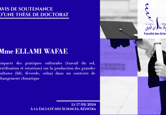 Avis de soutenance d’une thèse de doctorat (Mme SELLAMI WAFAE)