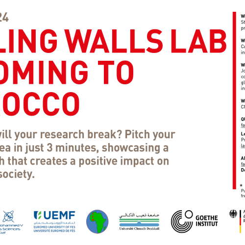 Appel à participation: FALLING WALLS LAB 2024