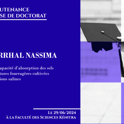 Avis de soutenance d’une thèse de doctorat (Mme DARRHAL NASSIMA)