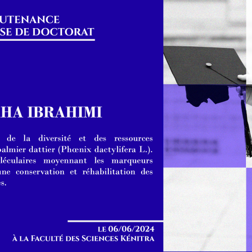 Avis de soutenance d’une thèse de doctorat (Mme MAHA IBRAHIMI)