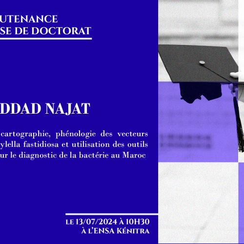 Avis de soutenance d’une thèse de doctorat (Mme HADDAD NAJAT)