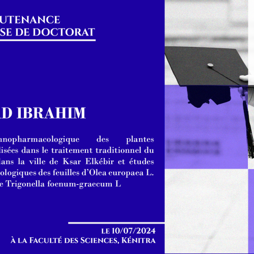 Avis de soutenance d’une thèse de doctorat (Mr HINAD IBRAHIM)