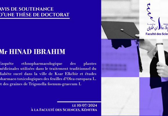 Avis de soutenance d’une thèse de doctorat (Mr HINAD IBRAHIM)