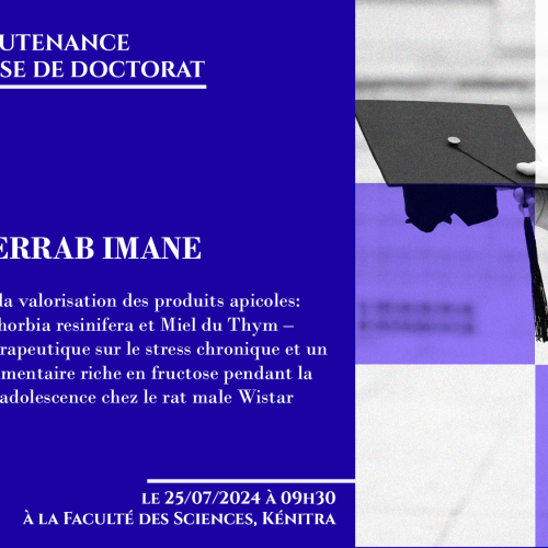 Avis de soutenance d’une thèse de doctorat (Mme KHERRAB IMANE)