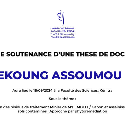 Avis de soutenance d’une thèse de doctorat (Mr BEKOUNG ASSOUMOU RUDY)