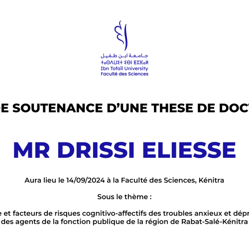 Avis de soutenance d’une thèse de doctorat (Mr DRISSI ELIESSE)