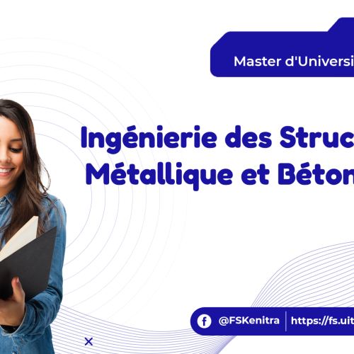 Ingénierie des Structures : Métallique et Béton Armé