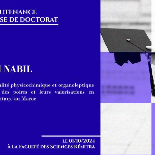 Avis de soutenance d’une thèse de doctorat (Mr SBAI NABIL)