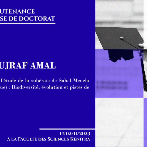 Avis de soutenance d’une thèse de doctorat (Mme BOUJRAF AMAL)