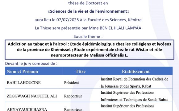Avis de soutenance de thèse de BEN EL JILALI LAMYAA
