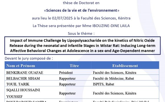 Avis de soutenance de thèse de IBOUZINE-DINE LAILA