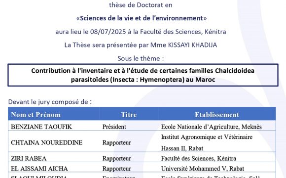 Avis de soutenance de thèse de KISSAYI KHADIJA