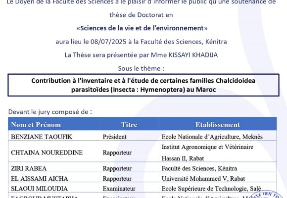 Avis de soutenance de thèse de KISSAYI KHADIJA