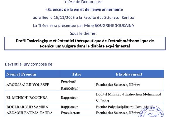 Avis de soutenance de thèse de Mme BOUGRINE SOUKAINA