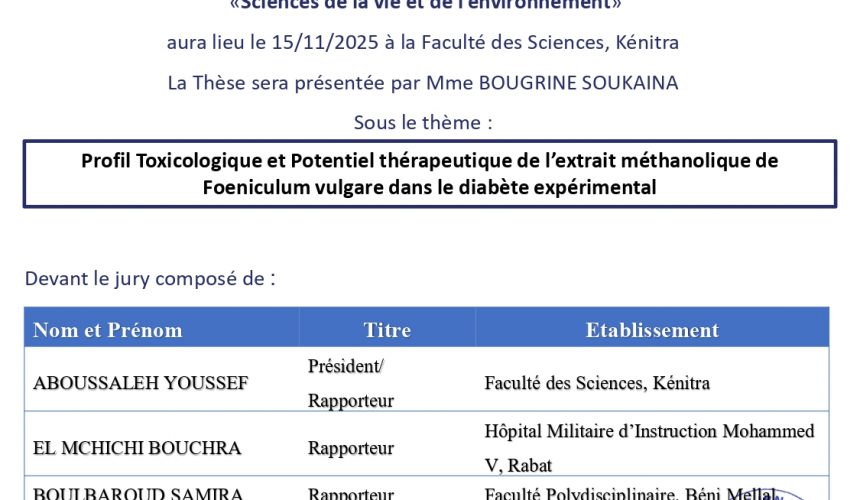 Avis de soutenance de thèse de Mme BOUGRINE SOUKAINA