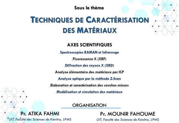 Journées Scientifiques Sous les Techniques de Caractérisation des Matériaux.