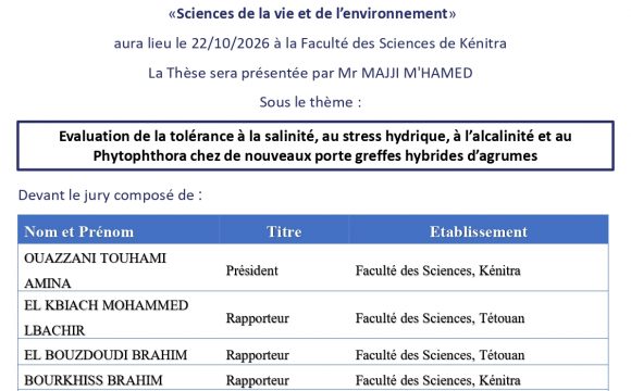 Avis de soutenance de thèse de MAJJI M&rsquo;HAMED