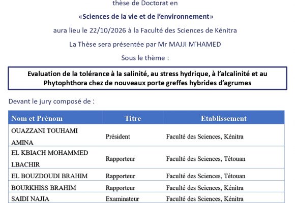 Avis de soutenance de thèse de MAJJI M&rsquo;HAMED