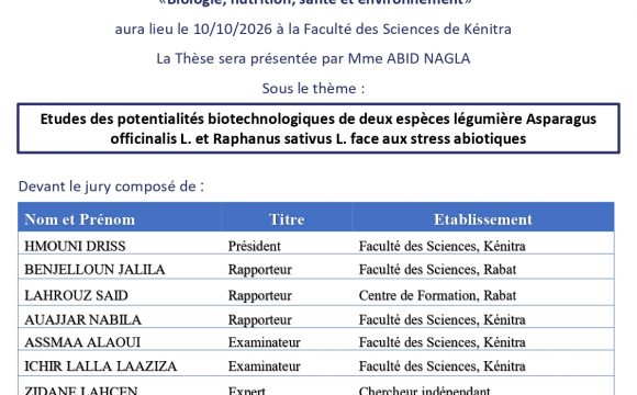Avis de soutenance de thèse de Mme ABID NAGLA