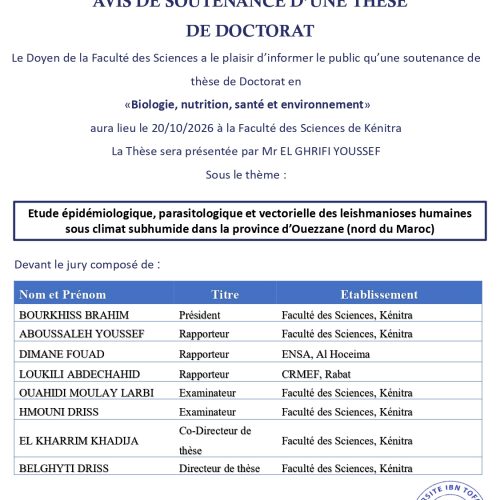 Avis de soutenance de thèse de Mr EL GHRIFI YOUSSEF