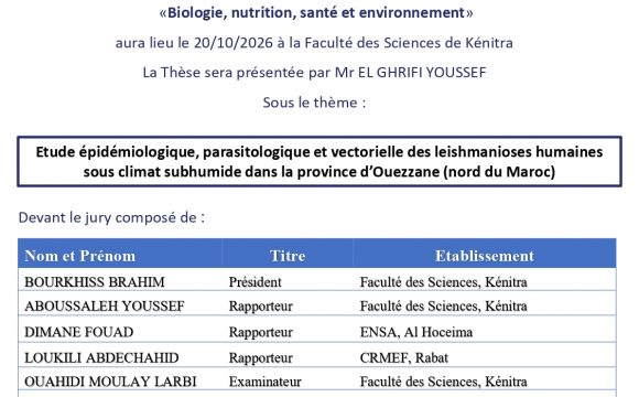 Avis de soutenance de thèse de Mr EL GHRIFI YOUSSEF