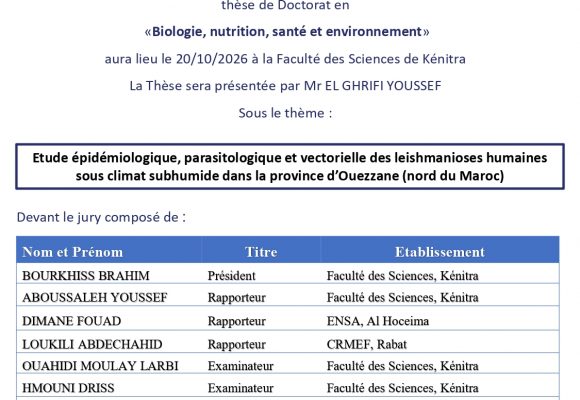 Avis de soutenance de thèse de Mr EL GHRIFI YOUSSEF
